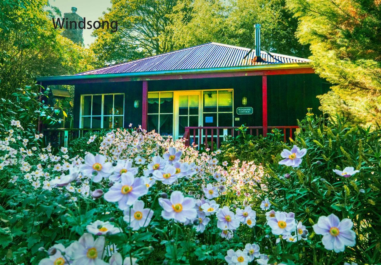 Observatory Cottages Mount Dandenong Dış mekan fotoğraf