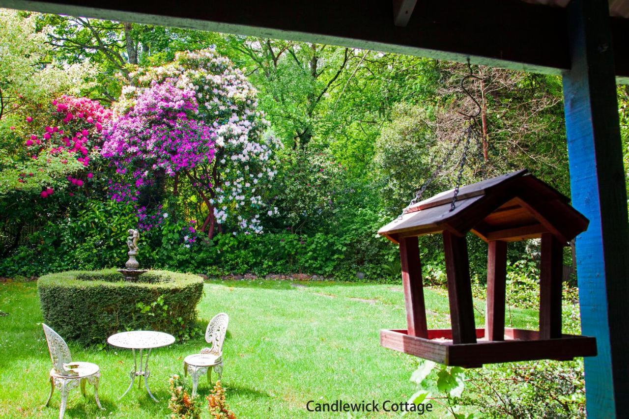 Observatory Cottages Mount Dandenong Dış mekan fotoğraf