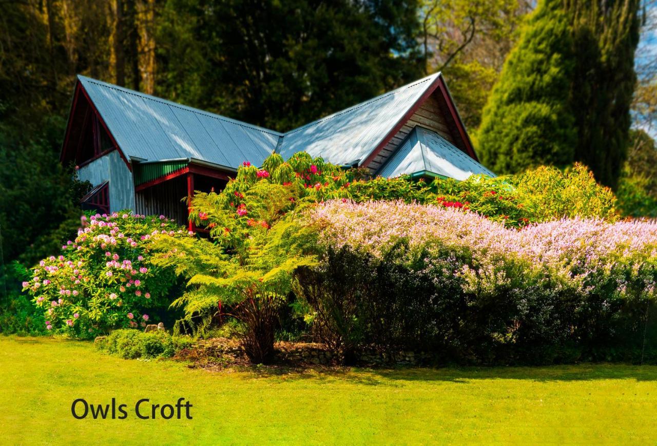 Observatory Cottages Mount Dandenong Dış mekan fotoğraf