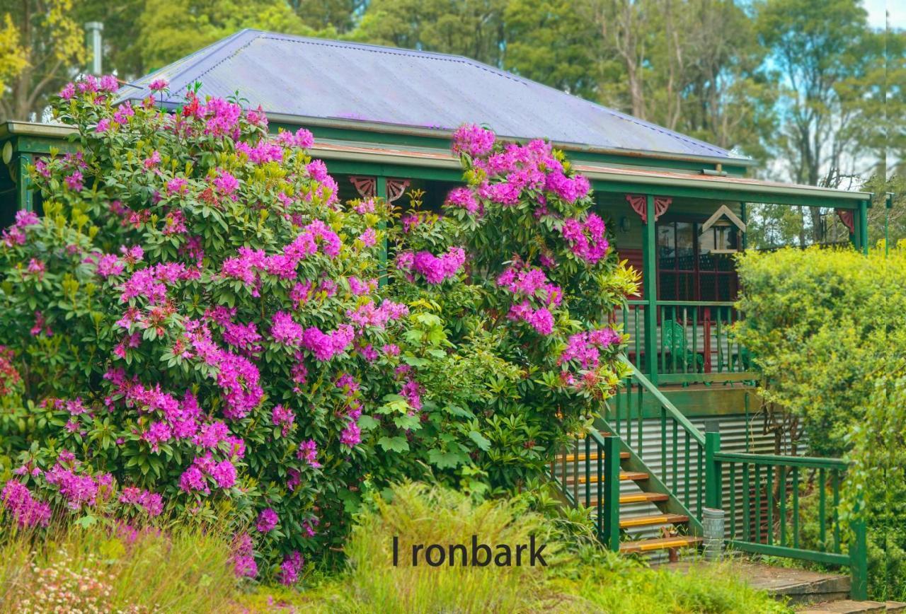 Observatory Cottages Mount Dandenong Dış mekan fotoğraf
