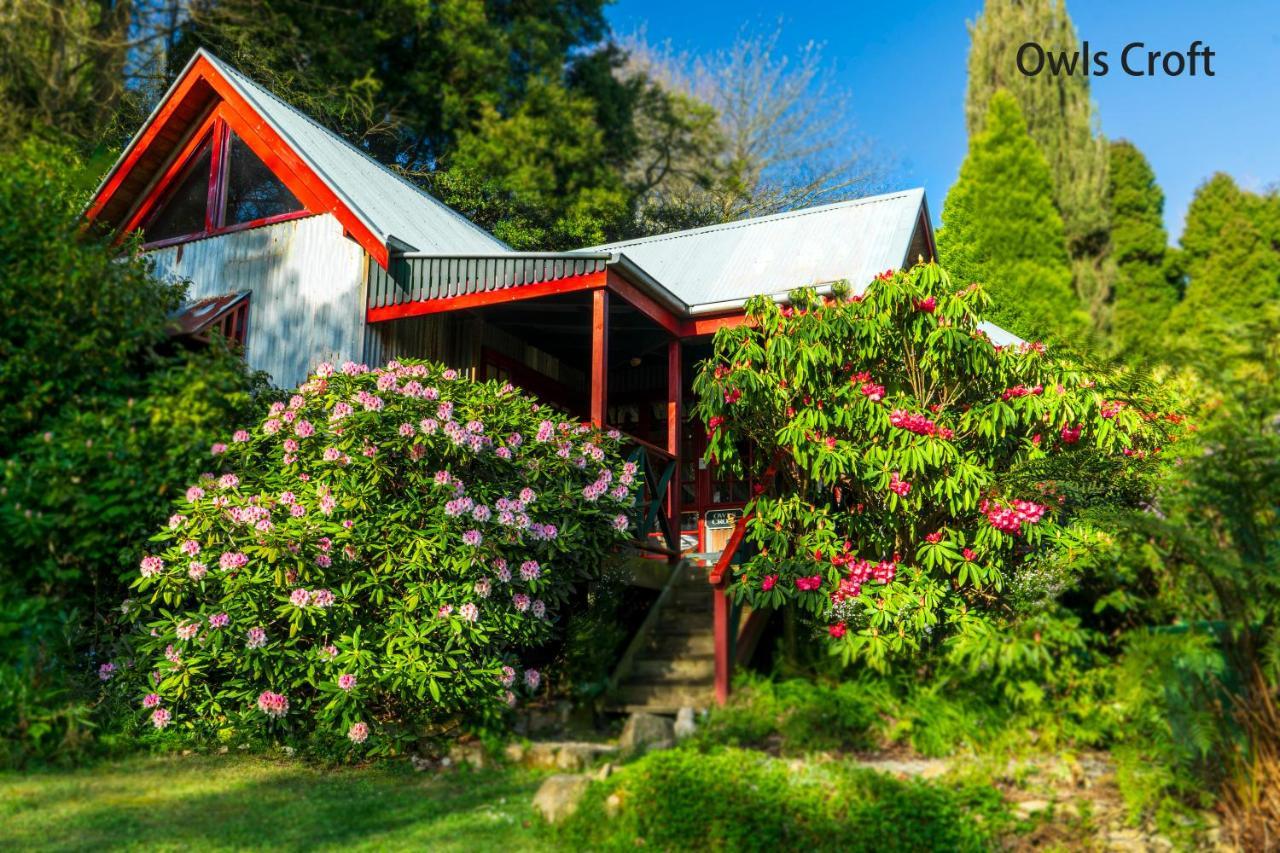 Observatory Cottages Mount Dandenong Dış mekan fotoğraf