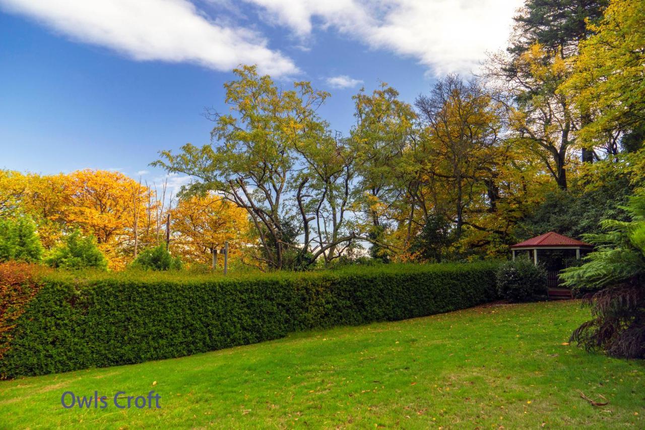 Observatory Cottages Mount Dandenong Dış mekan fotoğraf