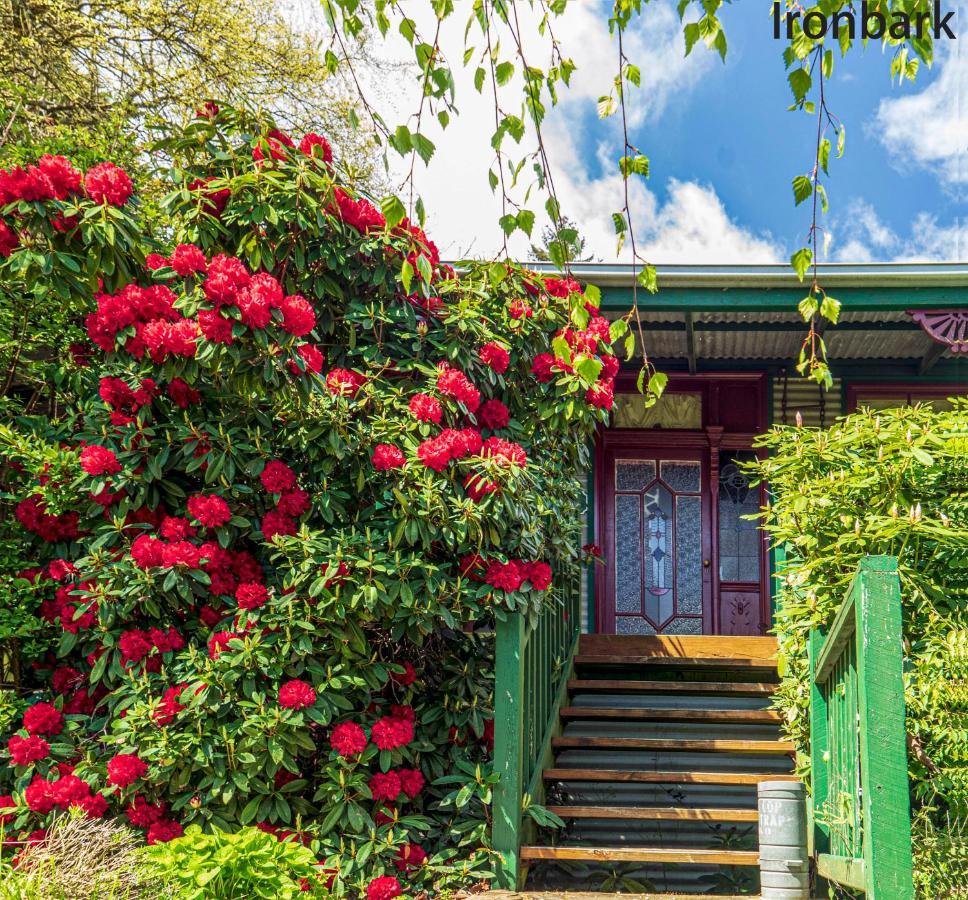Observatory Cottages Mount Dandenong Dış mekan fotoğraf