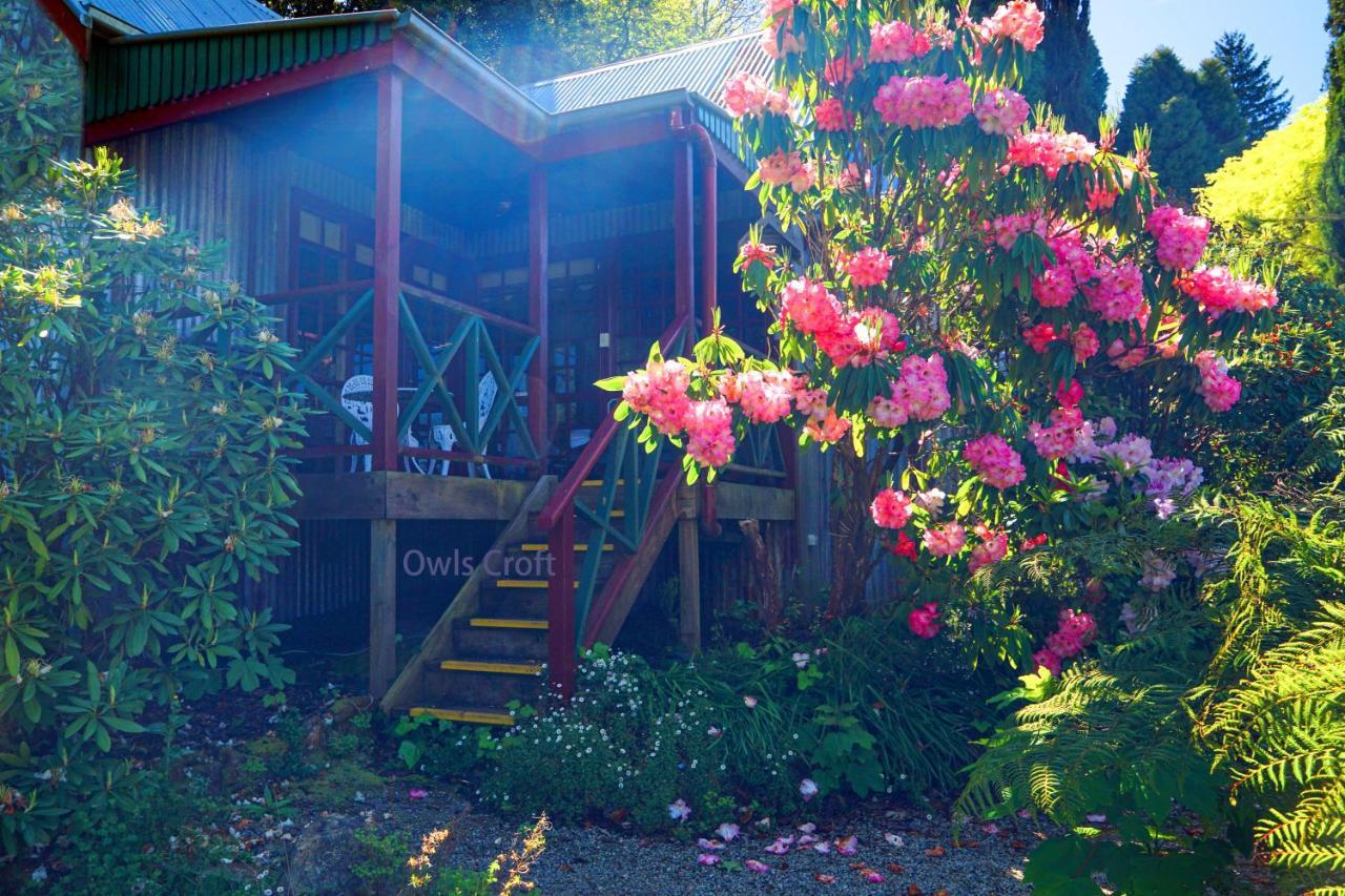 Observatory Cottages Mount Dandenong Dış mekan fotoğraf
