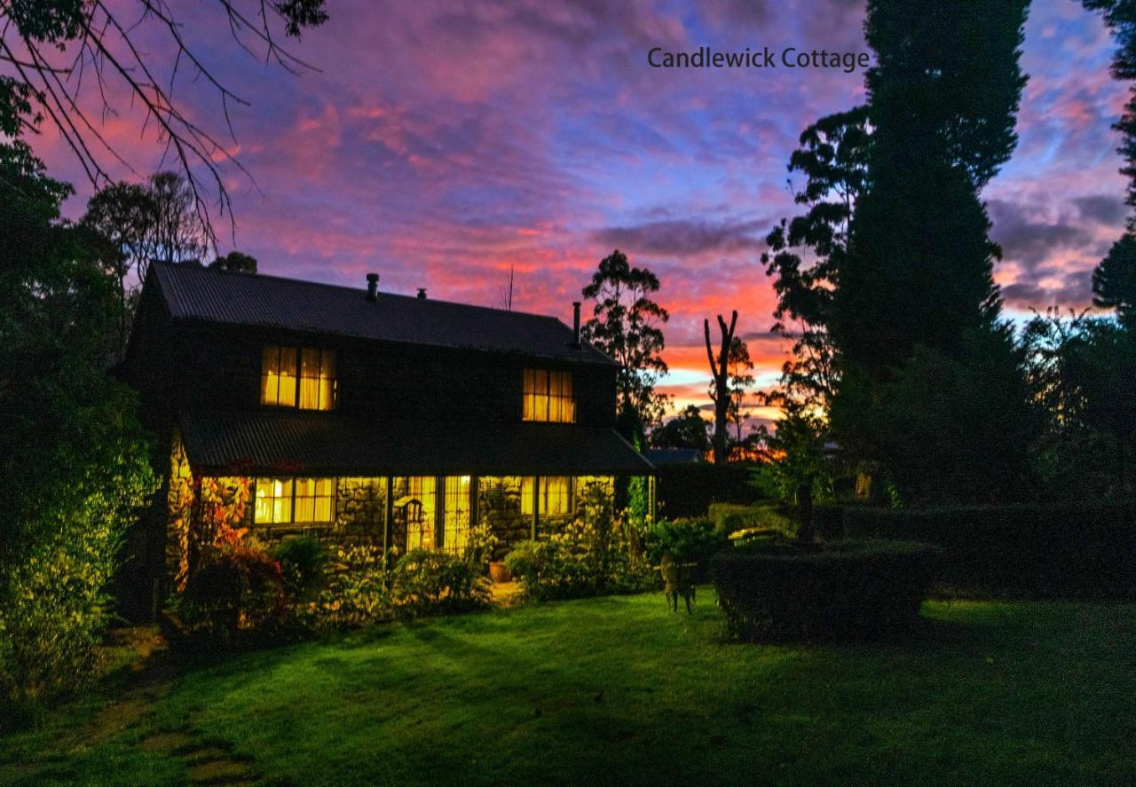 Observatory Cottages Mount Dandenong Dış mekan fotoğraf