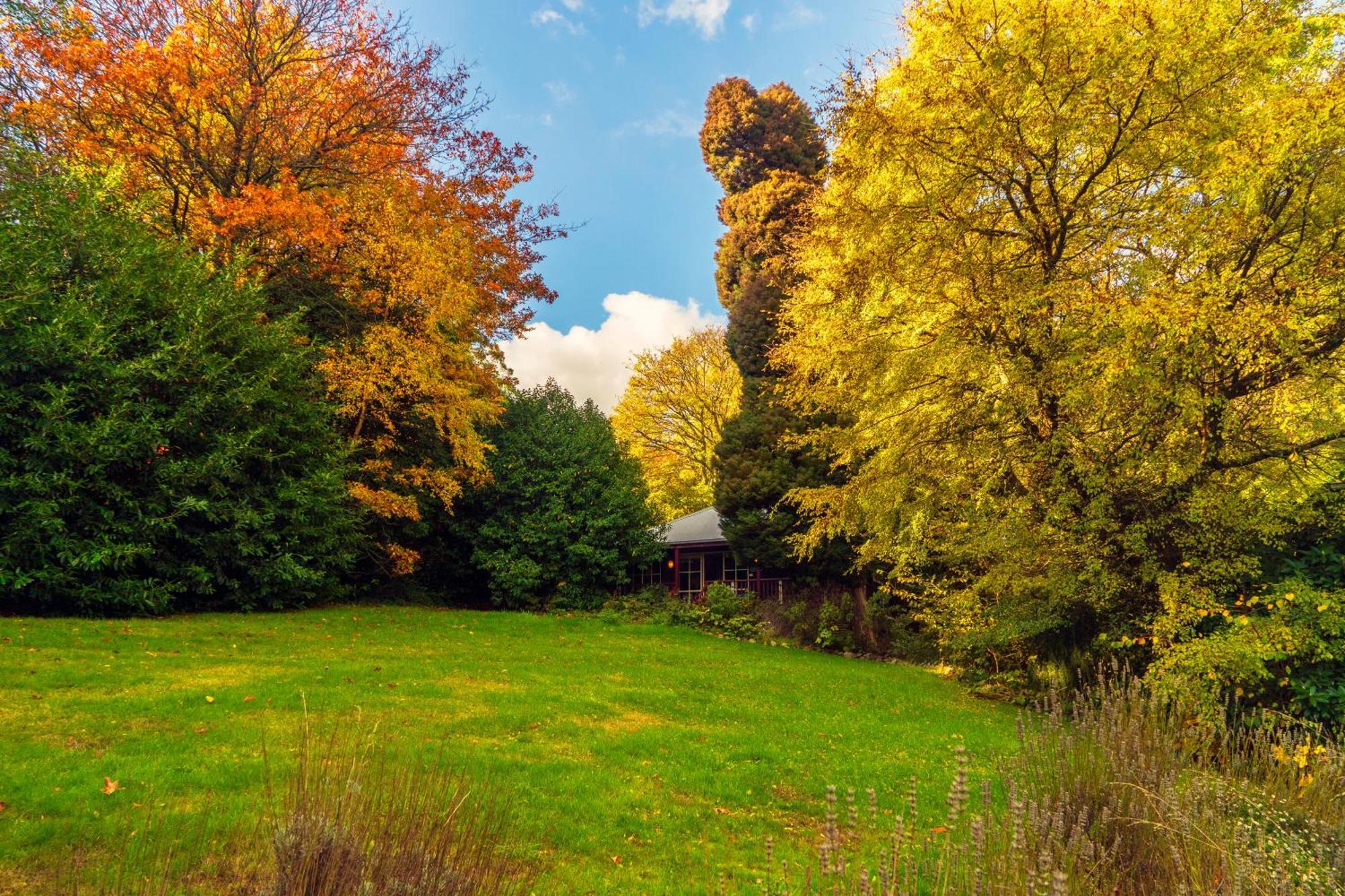 Observatory Cottages Mount Dandenong Oda fotoğraf